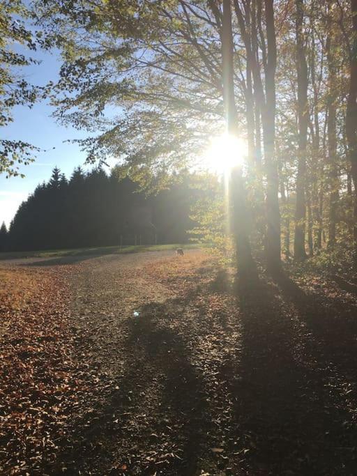 Ferienwohnung SauerlandBlick Altena Exterior foto